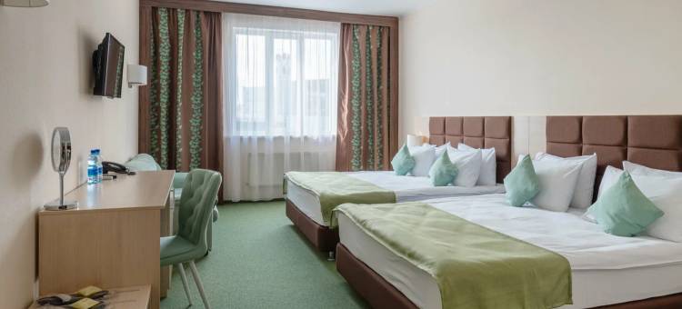 伏努科沃阿维昂酒店(Avion Vnykovo Hotel)图片