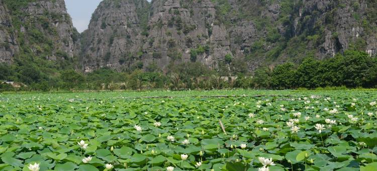 Halise Sanctuary Ninh Binh图片