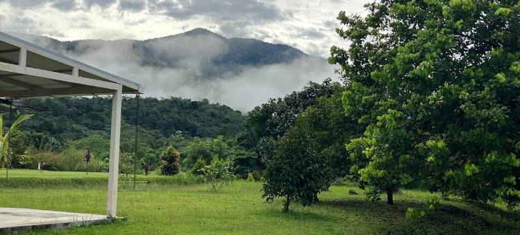 Orchard Lake House - 4 rooms, 11 beds, 13 persons图片