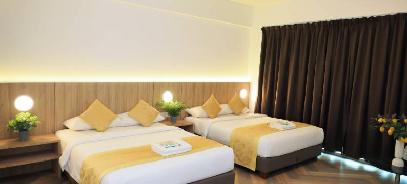 大树酒店(BIG TREE HOTEL)图片