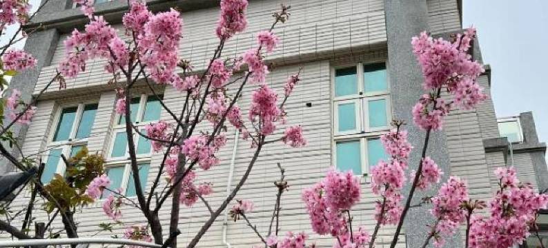 金门好朋友民宿图片