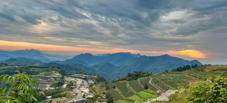 隙顶大象的天空图片