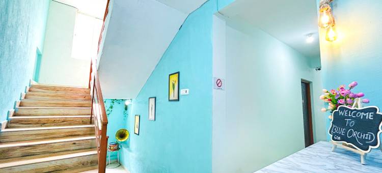蓝色兰花度假屋(Blue Orchid Holiday Home)图片