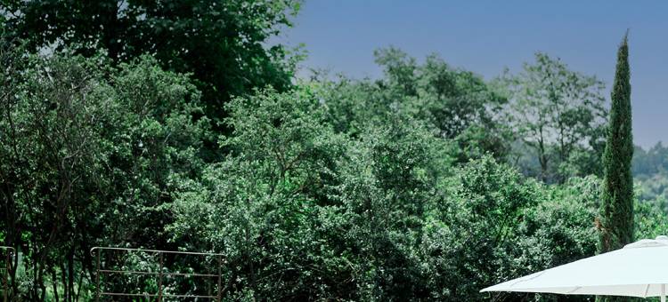 莱多曼堡垒(Le Domaine du Fortin)图片