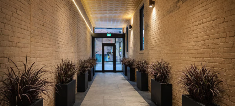 内斯特圣劳伦斯市场(Nester St. Lawrence Market)图片