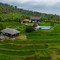 Meadow Hills Villas by Mahaprana