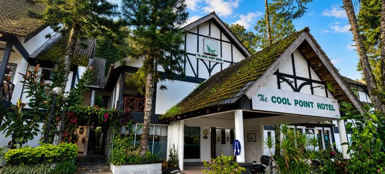 酷点酒店(The Cool Point Hotel)图片