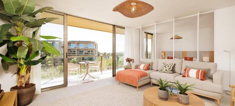 Flamingos Salgados图片