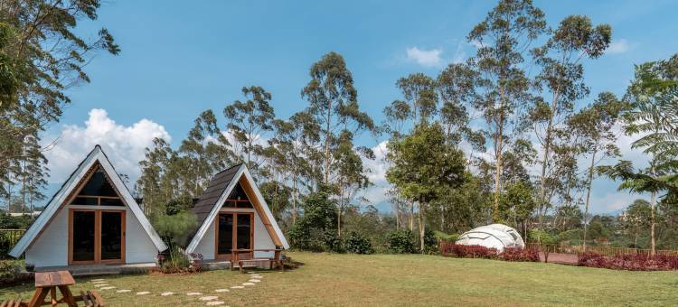 The Cabin Artana by ARBA图片
