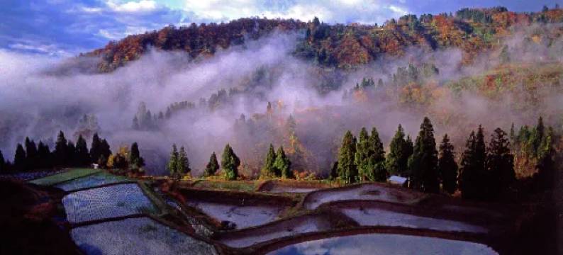 斗牛锦鲤传统文化会馆(Bullfighting and Nishikigoi Traditional Culture Center)图片