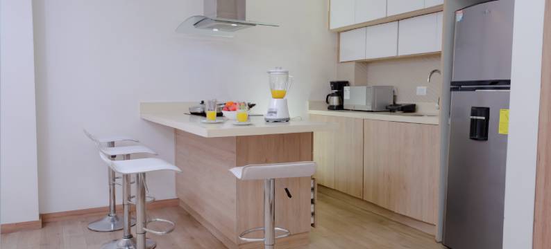 布里斯托尔酒店昆卡(Hotel Bristol Cuenca)图片