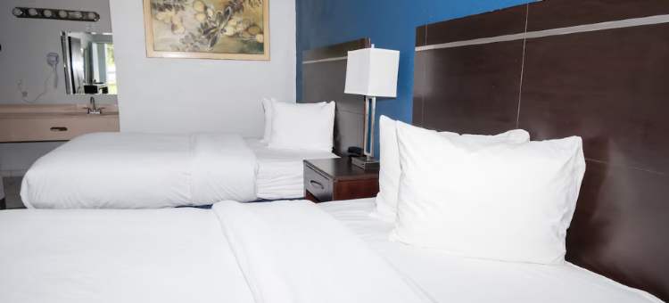 Motel 6 Altamonte Springs, FL图片