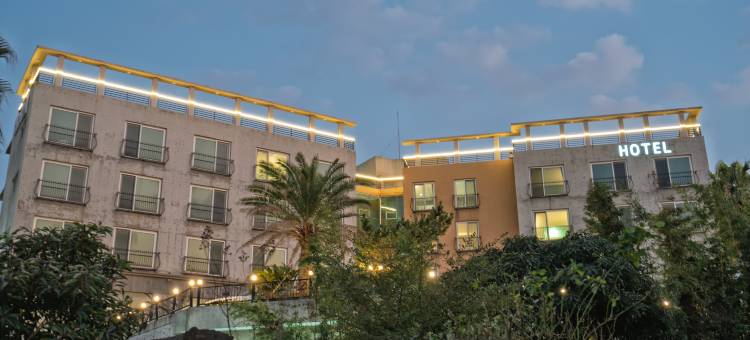 Ihopony Hotel jeju图片