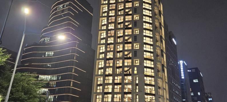 江南凯勒姆布莱克豪华寓所(Caelum Black Gangnam Luxury Residence)图片