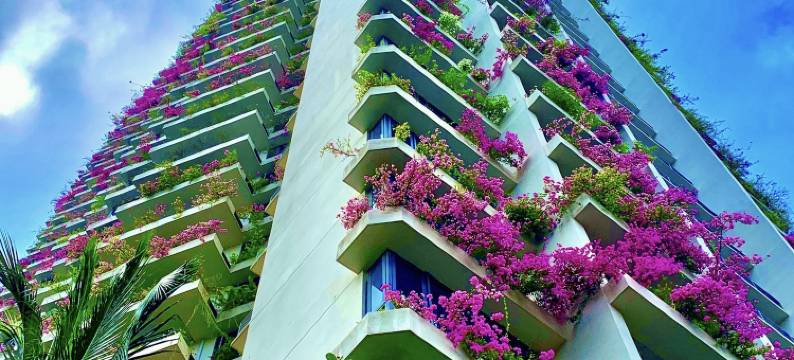 Forest City Eco Stay图片