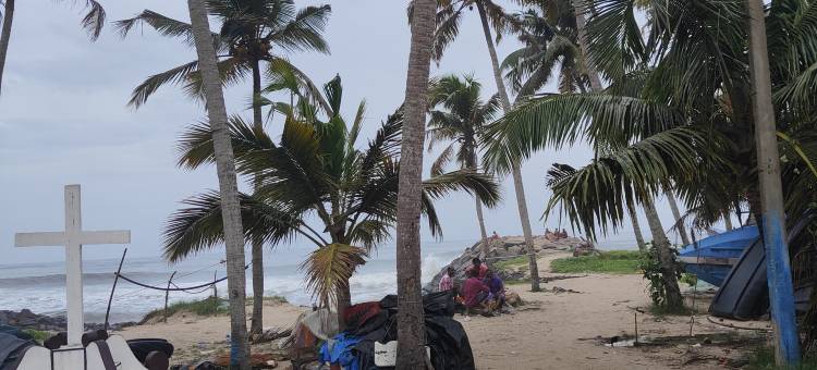 Marari beach daze homestay图片
