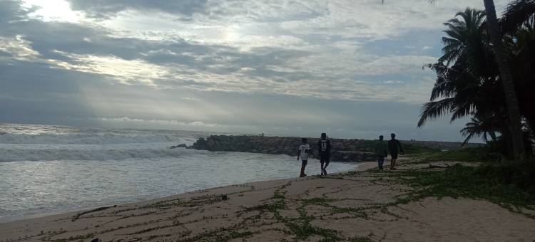 Marari beach daze homestay图片