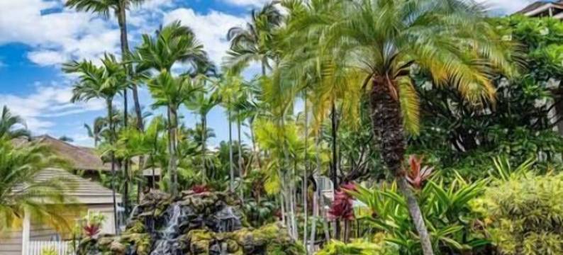 Premier Collection at Grand Champions Wailea图片