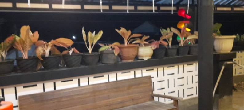 O酒店 Chimi Rumah Kost(Hotel O Chimi Rumah Kost)图片