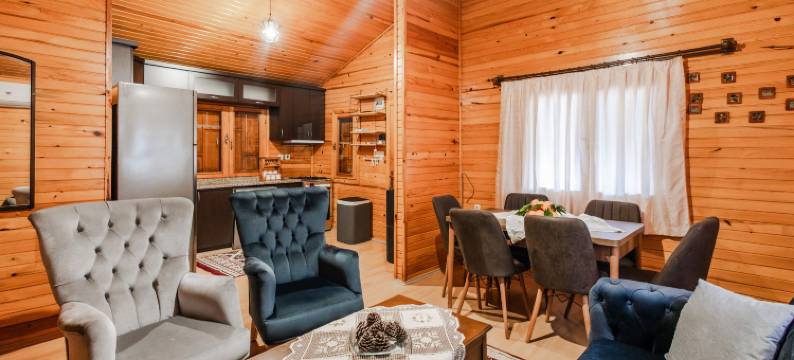 Holiday House Dilek图片