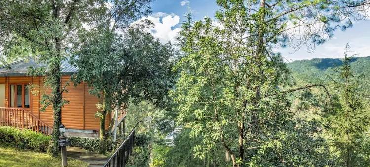 宾萨尔马辛德拉俱乐部度假别墅(Club Mahindra Binsar Villa)图片