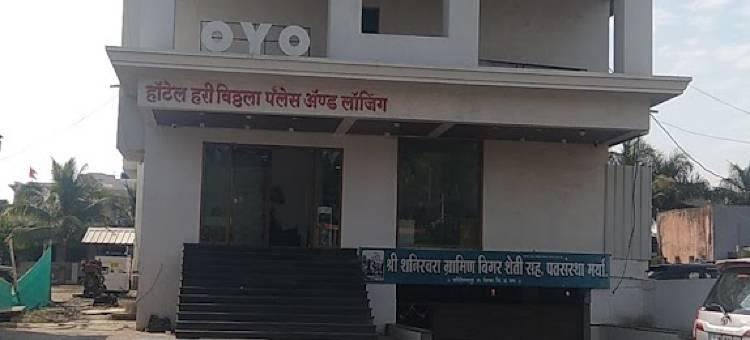 Hotel hari vitthala palace图片