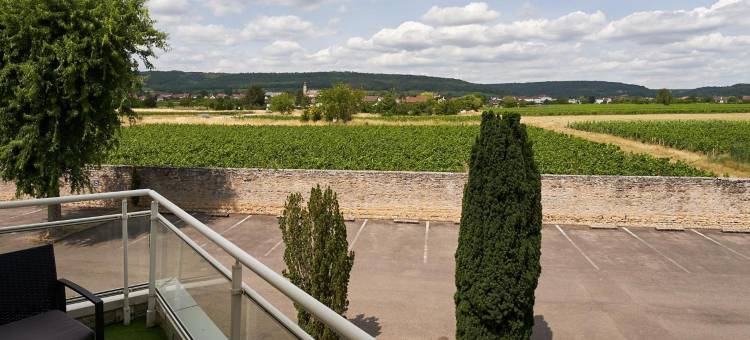 The Originals City，第戎南部洛米夏尔餐厅酒店(TheOriginals City, Hôtel Restaurant l'Ormichal Dijon Sud)图片