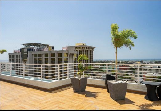 Joy Luxury Estate Kingston Hotel Overview