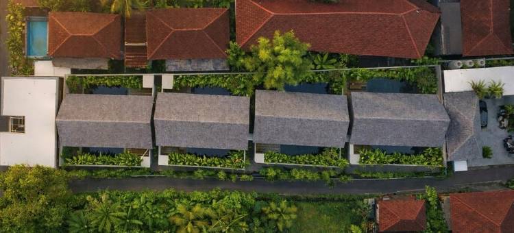 达玛雅精品别墅 乌布(Damarya Boutique Villas Ubud)图片