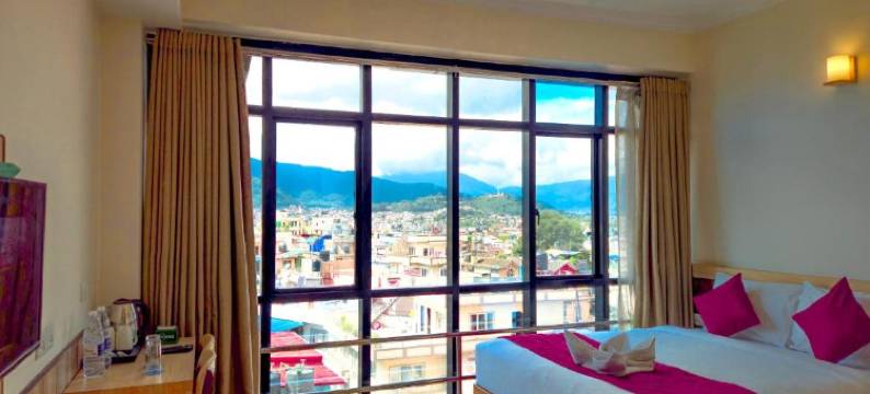 德里夏酒店(Drishya Hotel)图片