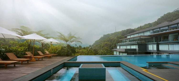 西维迪森林山酒店(Forest Hills Ciwidey)图片