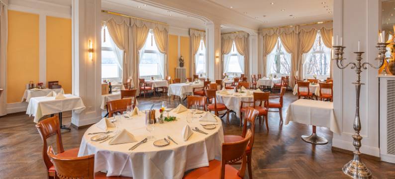 贝尔维尤莱克酒店及餐厅(Hotel Restaurant Bellevue au Lac)图片