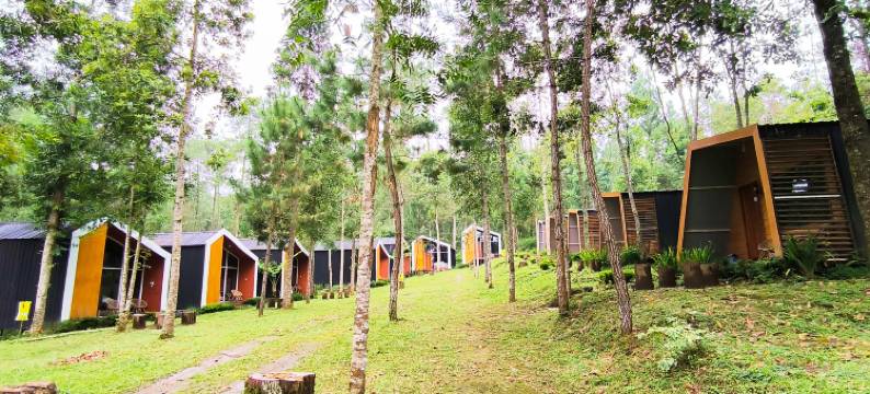 Spekta Merbabu由Cocotel提供支持(Spekta Merbabu powered by Cocotel)图片