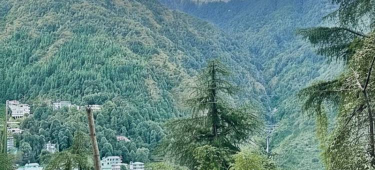 惊险狂热麦克劳德甘吉(Thrillomania Mcleodganj)图片