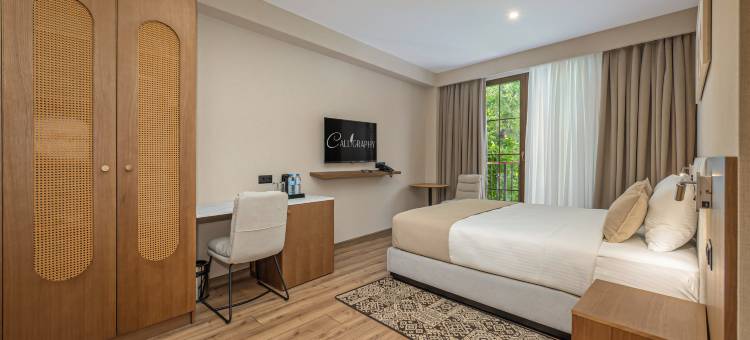 精品酒店书法(Boutique Hotel Calligraphy)图片