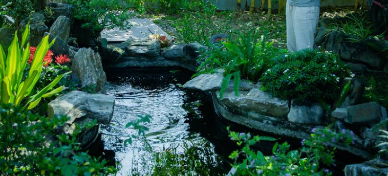 MyGarden Villa Binh Chau Hotspring图片