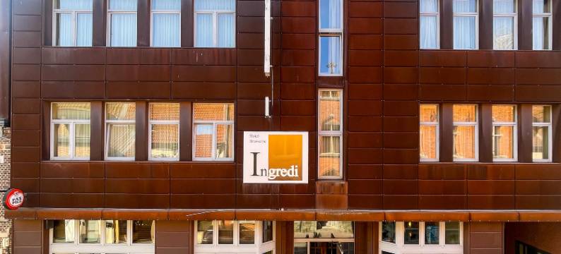 英格拉蒂酒店(Hotel INGREDI)图片