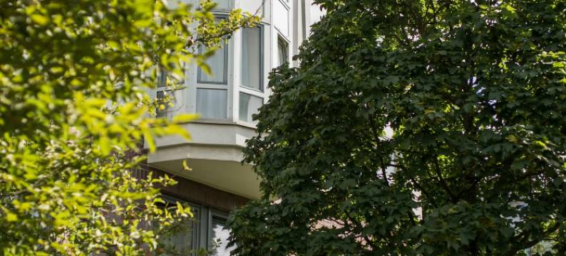 Homaris 诺利开间(Homaris Nolli Studios)图片