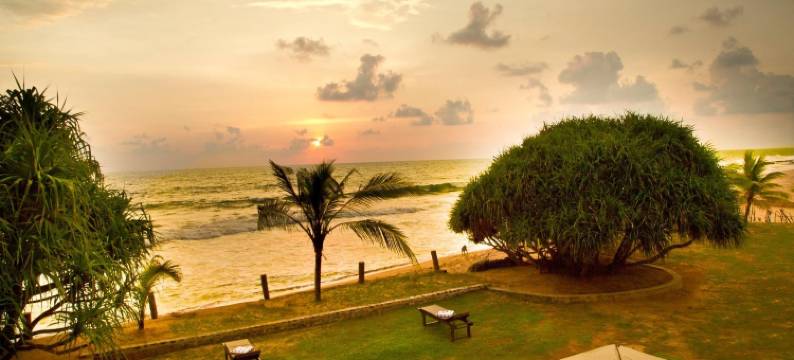 THE PLEASURE KOSGODA图片