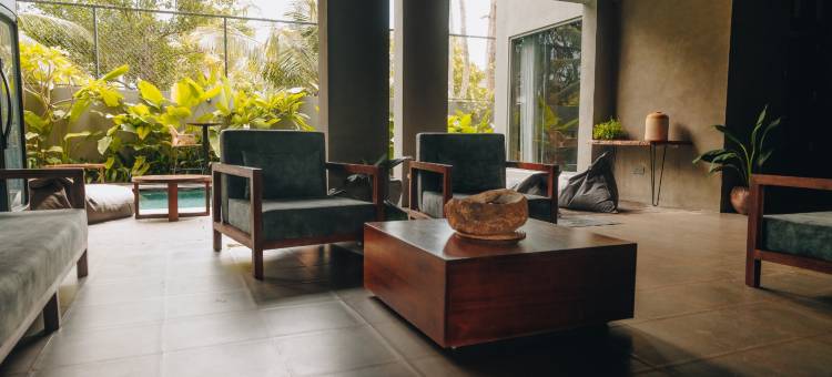 波希米亚巢穴(Bohemian Nest)图片