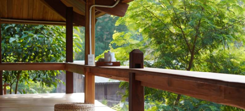 Harmony Botanical Garden Stay - 300 Plant Species, Natural Stream and Small Pool图片