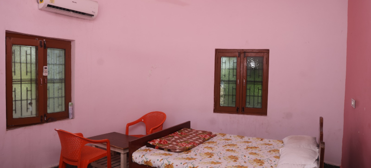 汉皮蓝月度假村(Hampi Blue Moon Resort)图片