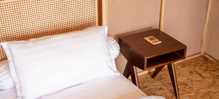 Terra Clementia图片