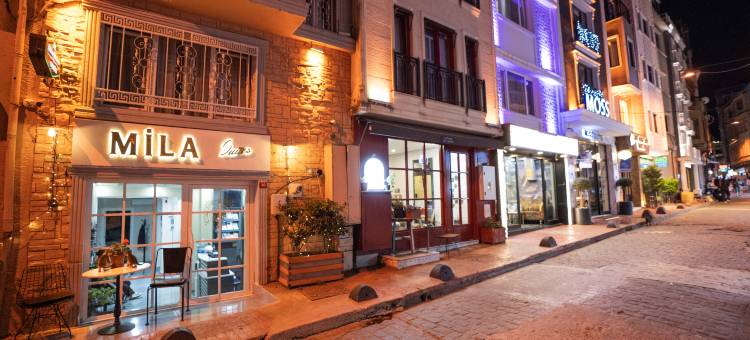 米拉套房塔克西姆(MİLA SUİTES TAKSİM HOTEL)图片