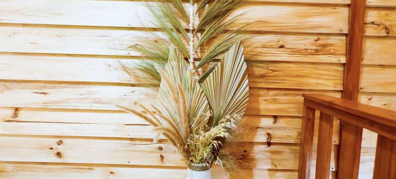 米亚尔扎法小屋(Miarzafa cabin house)图片