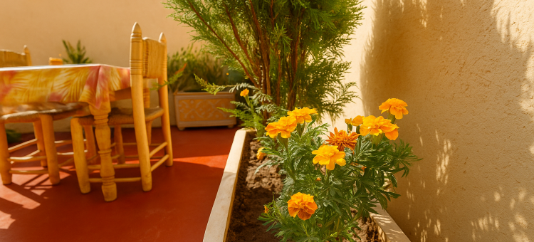 Riad Safran Rouge Jacuzzi RoofTop图片
