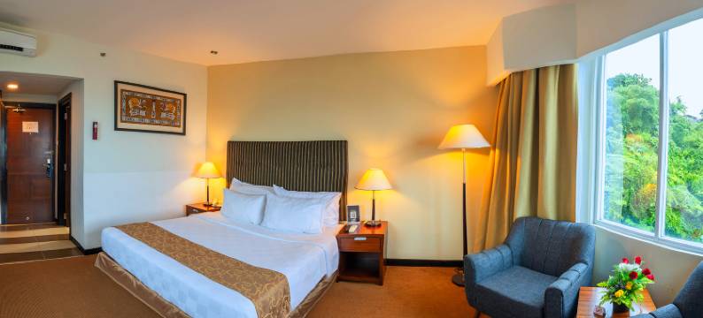 Grand Asmat Hotel and Convention Center图片