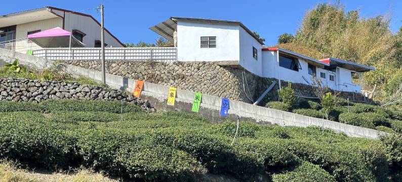 隙顶大象的天空图片