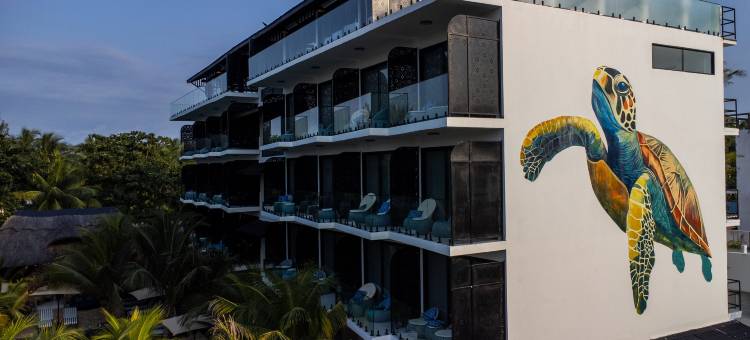 Z酒店(The Z2 Hotel)图片