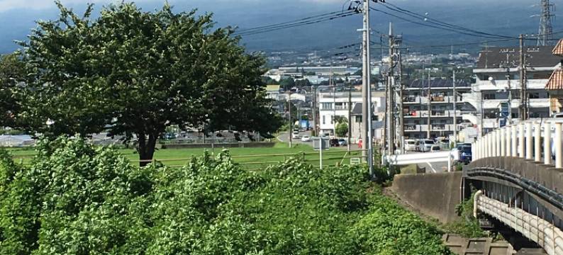 Mt.Fuji Homestay Leoya图片